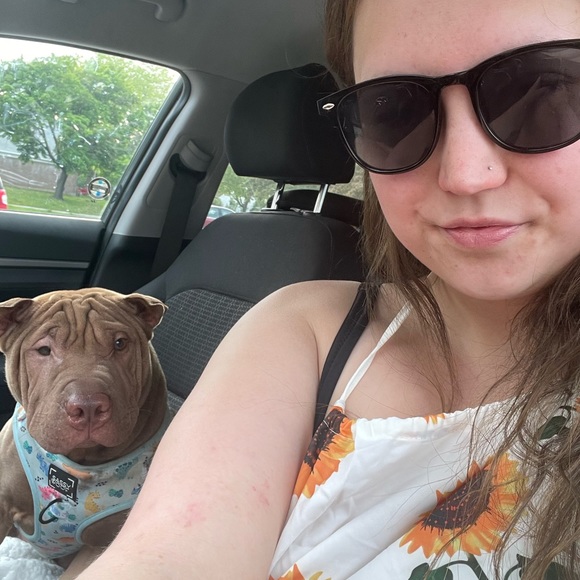 Meet your Posher, Hanna-sky - Picture 2 of 2